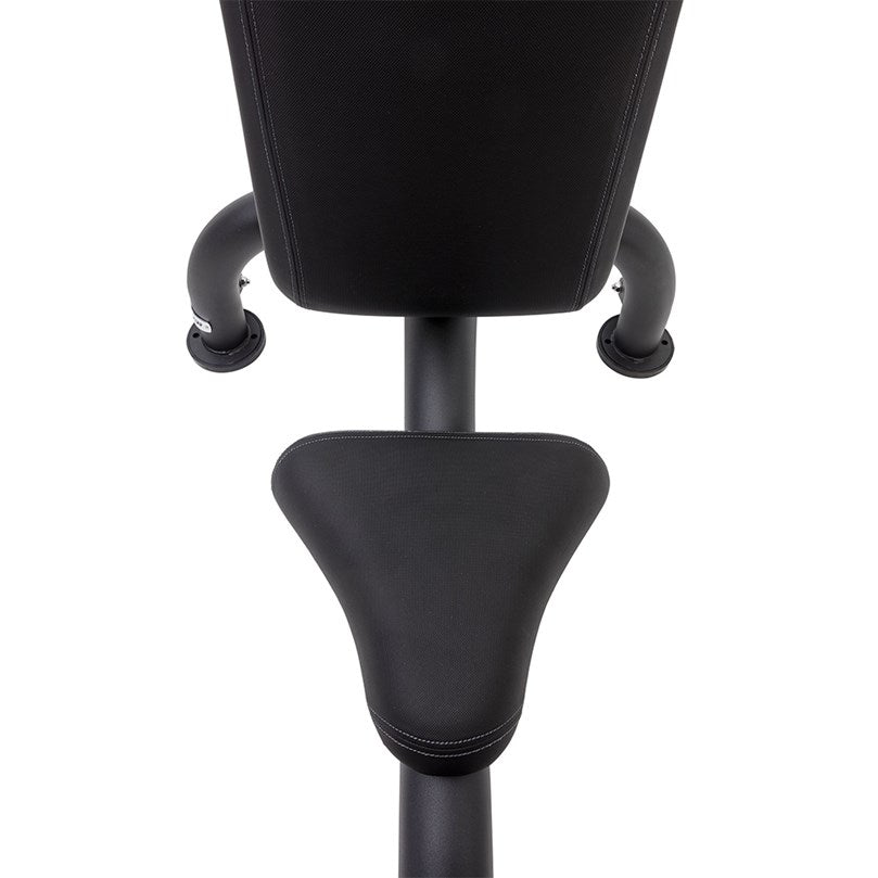 Master Fitness Royal Utility Bench