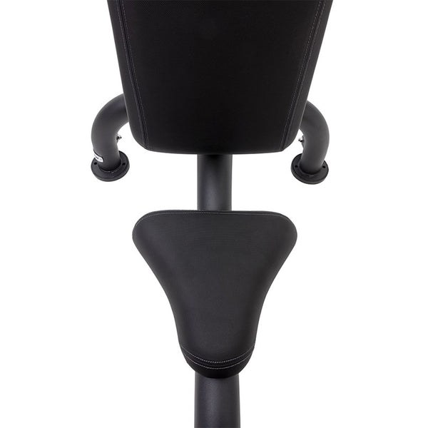 Master Fitness Royal Utility Bench